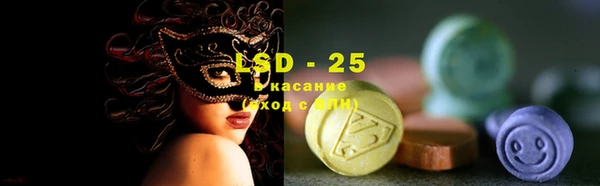 PSILOCYBIN Аркадак