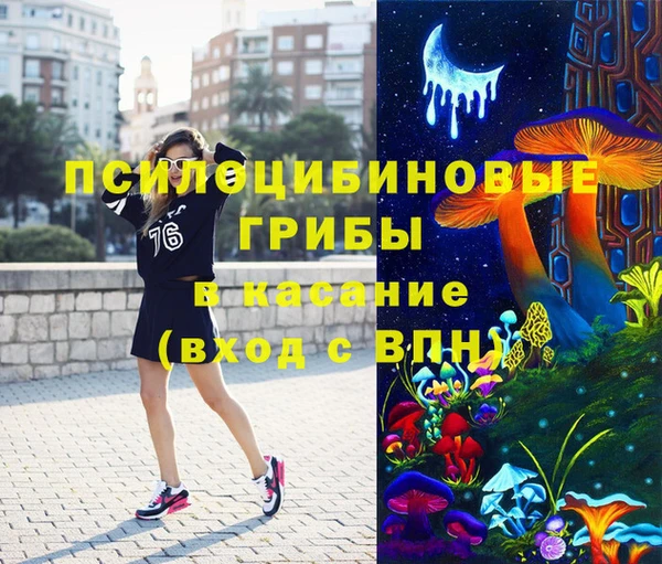 apvp Армянск