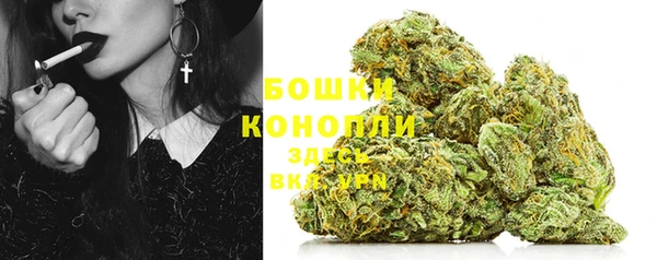 PSILOCYBIN Аркадак