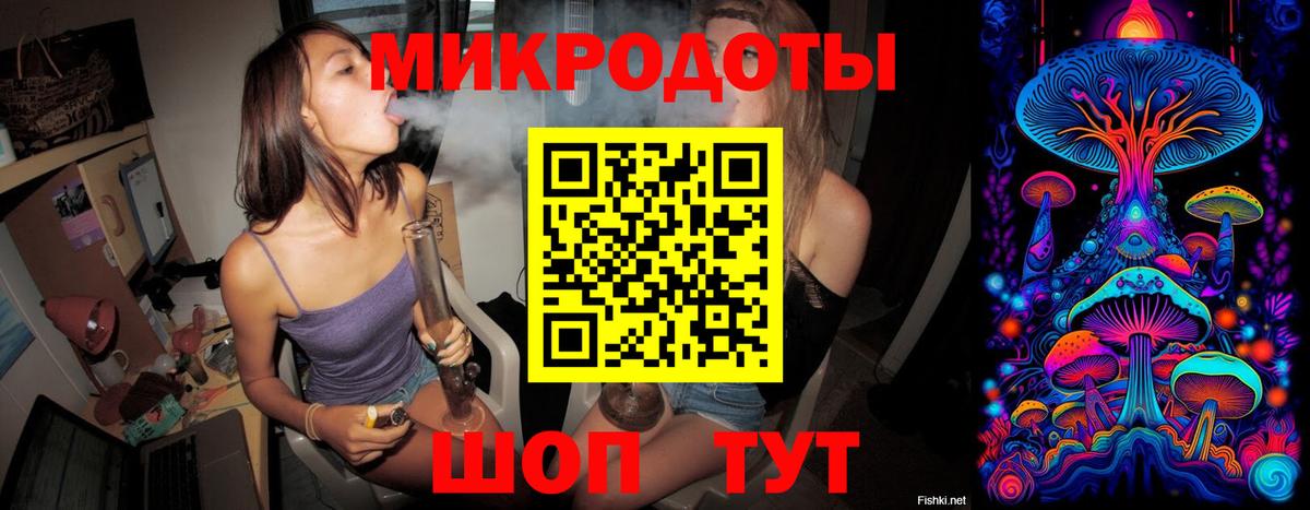 Псилоцибиновые грибы мицелий Волгодонск