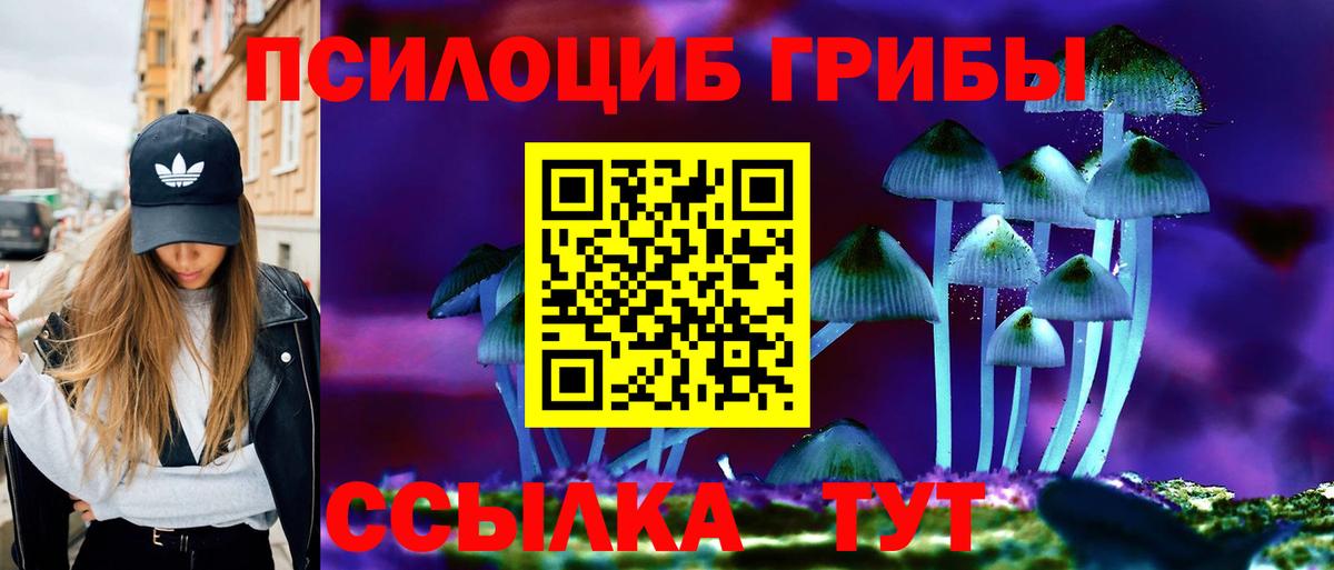 Псилоцибиновые грибы Psilocybe  где купить наркоту  Волгодонск  Псилоцибиновые грибы прущие грибы  Вход с VPN 