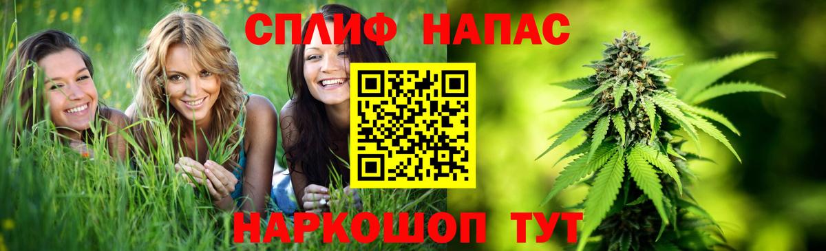 Бошки Шишки гибрид  Каннабис план  Волгодонск  Шишки марихуана конопля  Вход с VPN  Марихуана Amnesia 